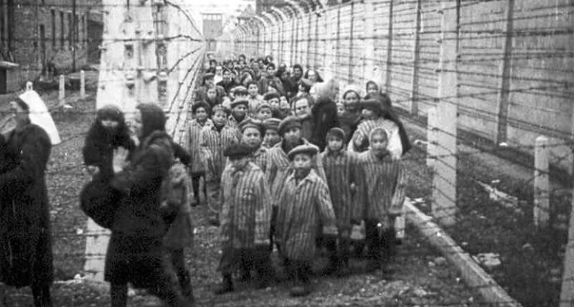 alquitrán desagüe Completo Auschwitz, la fábrica de la muerte | elcato.org